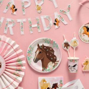 Pferde Geburtstagsparty