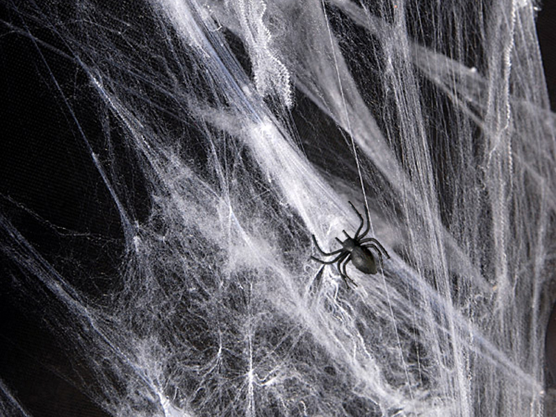 Halloween Dekoration Spinnennetz