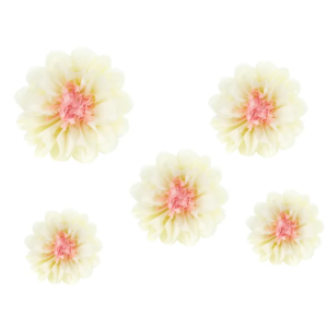 Verzaubere deine Gäste mit diesem Seidenpapier Blumen Set in Creme und Rosa. Einfach zu montieren, perfekt für jede Feier. Inhalt: 5 Stück.